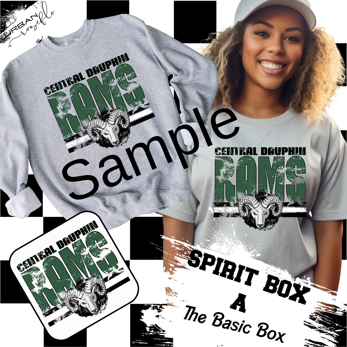 THE BASIC SPIRIT BOX - CUSTOM