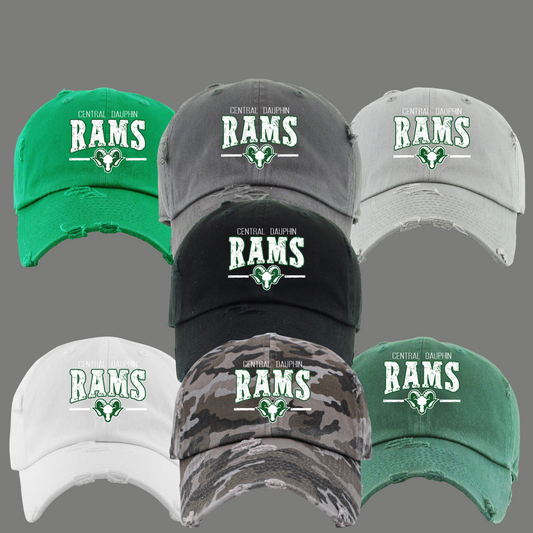 CDBW VINTAGE BASEBALL CAP