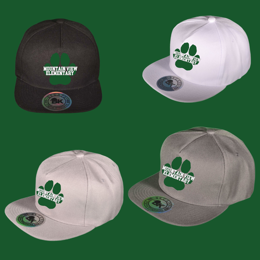 MV 5 Panel Snapback Hat