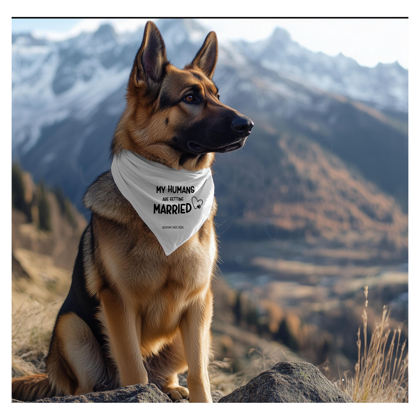 Custom Pet Bandanas