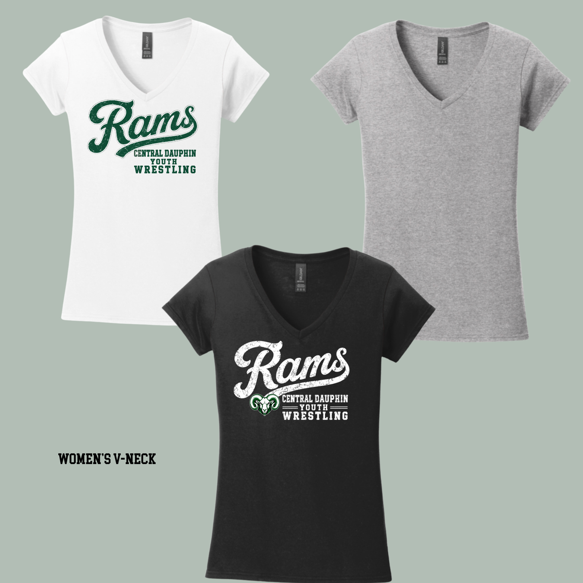 The Basic Ladies V-Neck Tee - CDYW