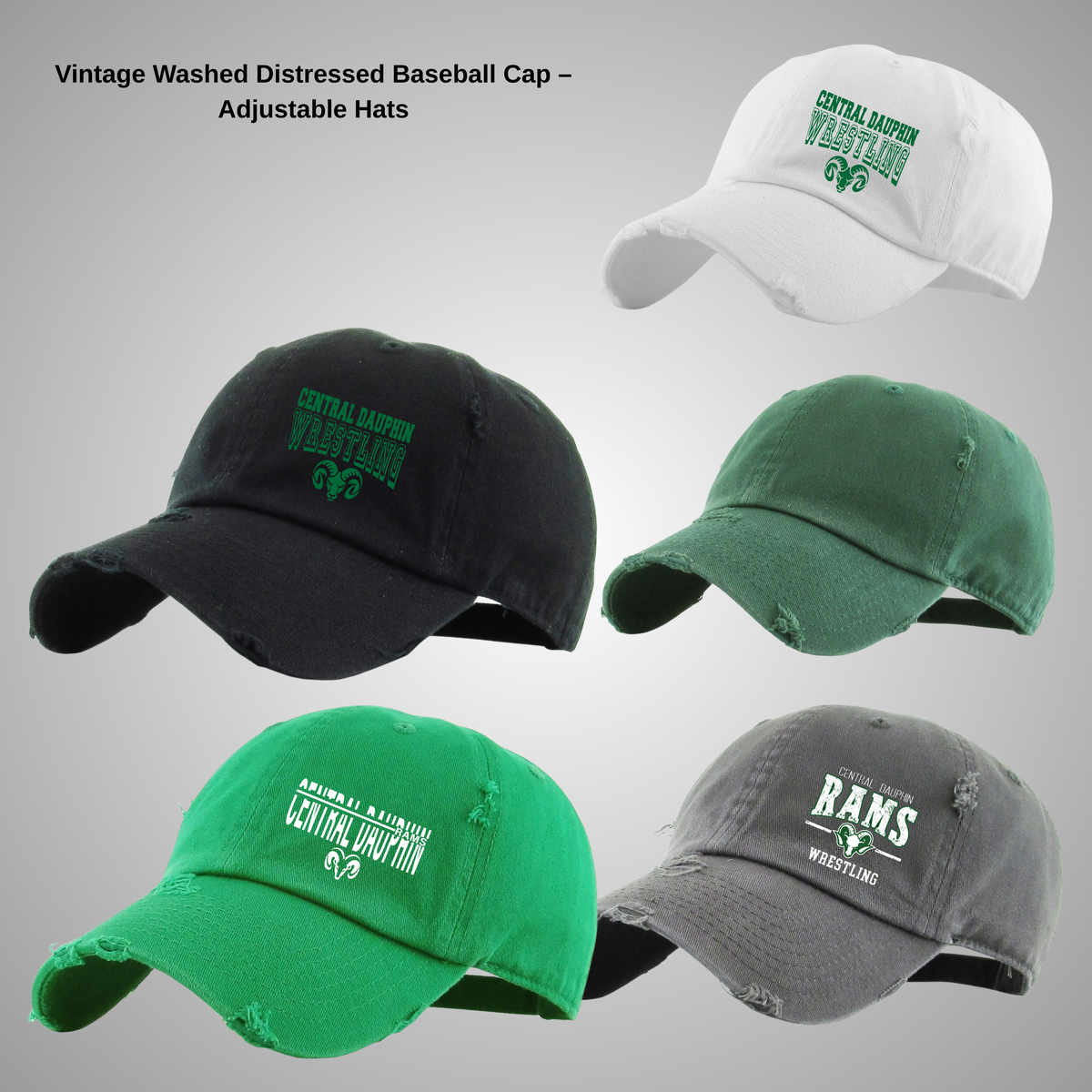 CDBW VINTAGE HAT