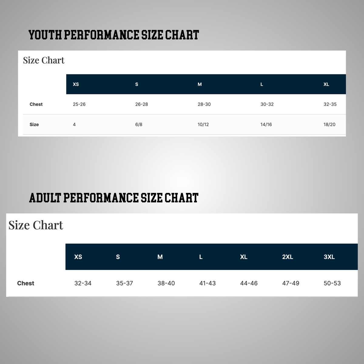 CDBW PERFOMANCE TEES